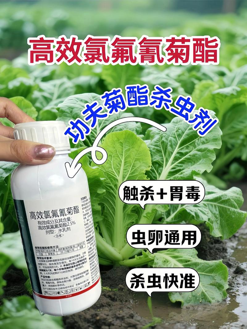 静海代生中心:农药对供卵代生妈妈的危害